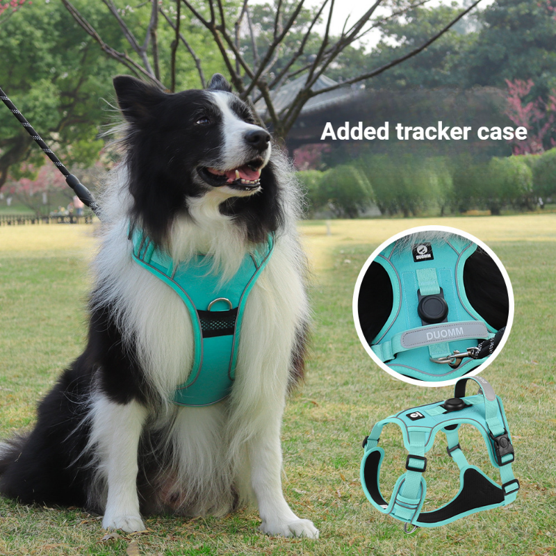 Pet Supplies Locations - Dog Harness Collar Leash Puppy Pet