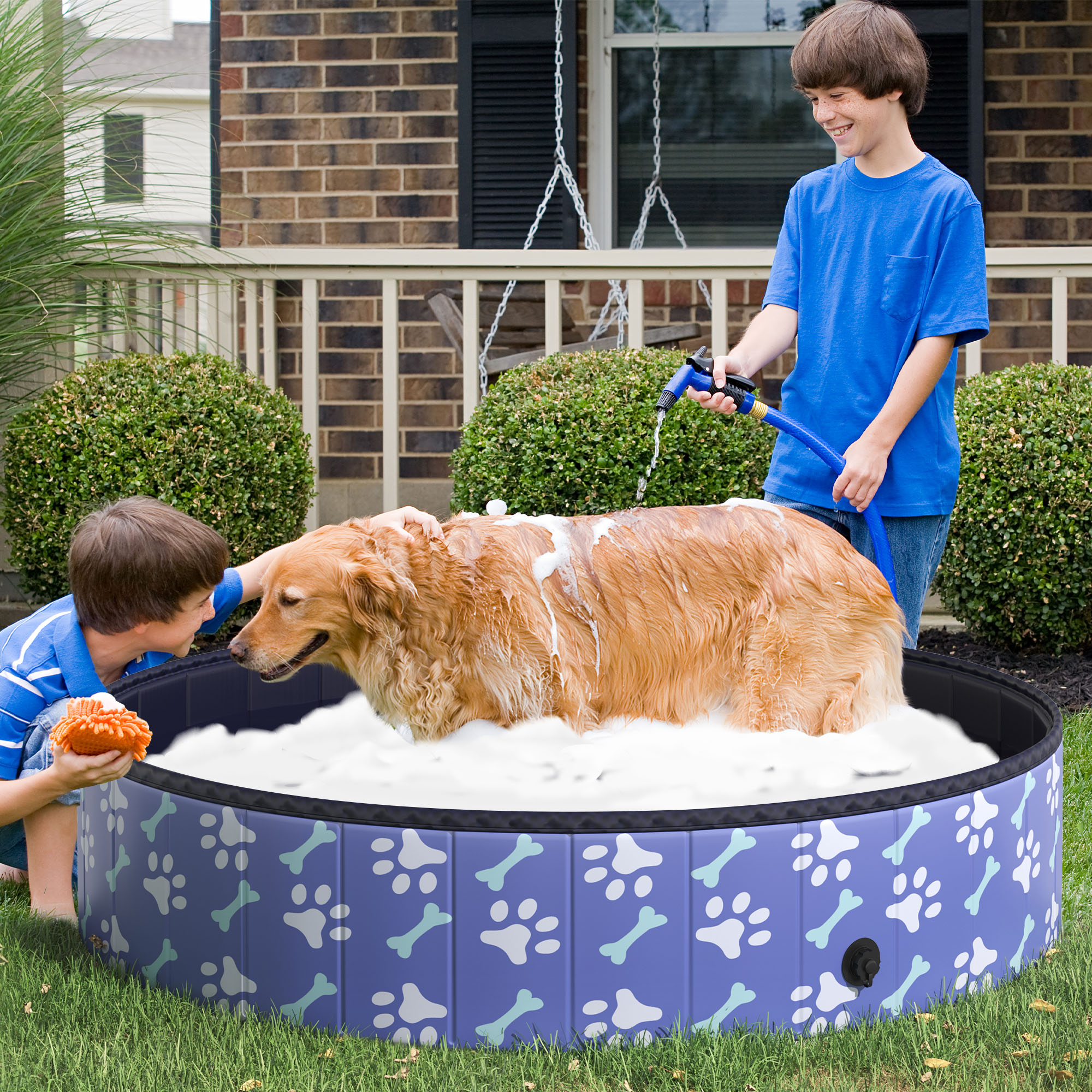 Foldable Pet Swimming Pool Eas - Pet Supplies In Store avaliação e preço