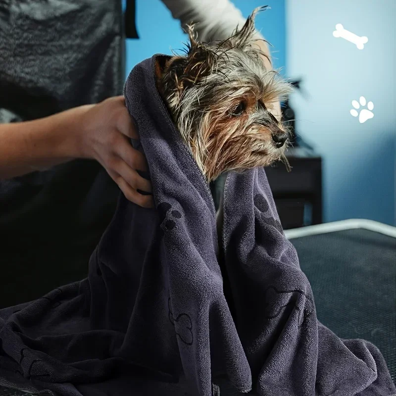 Quick-drying and Absorbent for - Pet Supplies In Store avaliação e preço