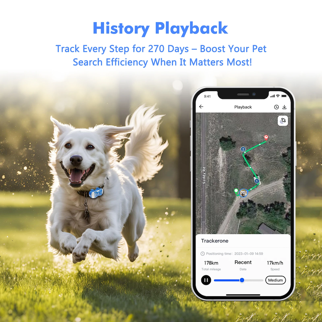 4G Mini Gps Tracker for Cats w - Pet Supplies Locations avaliação e preço