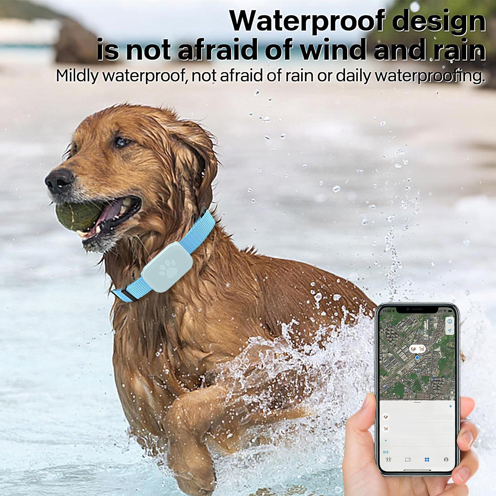 Pet GPS TrackerDog Cat Locator - Pet Supplies Locations avaliação e preço
