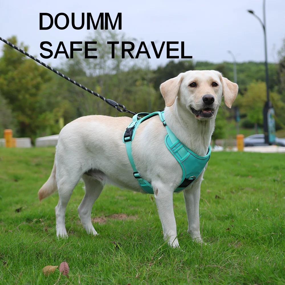Pet Dog Training Harnesses Wit - Pet Supplies Locations avaliação e preço