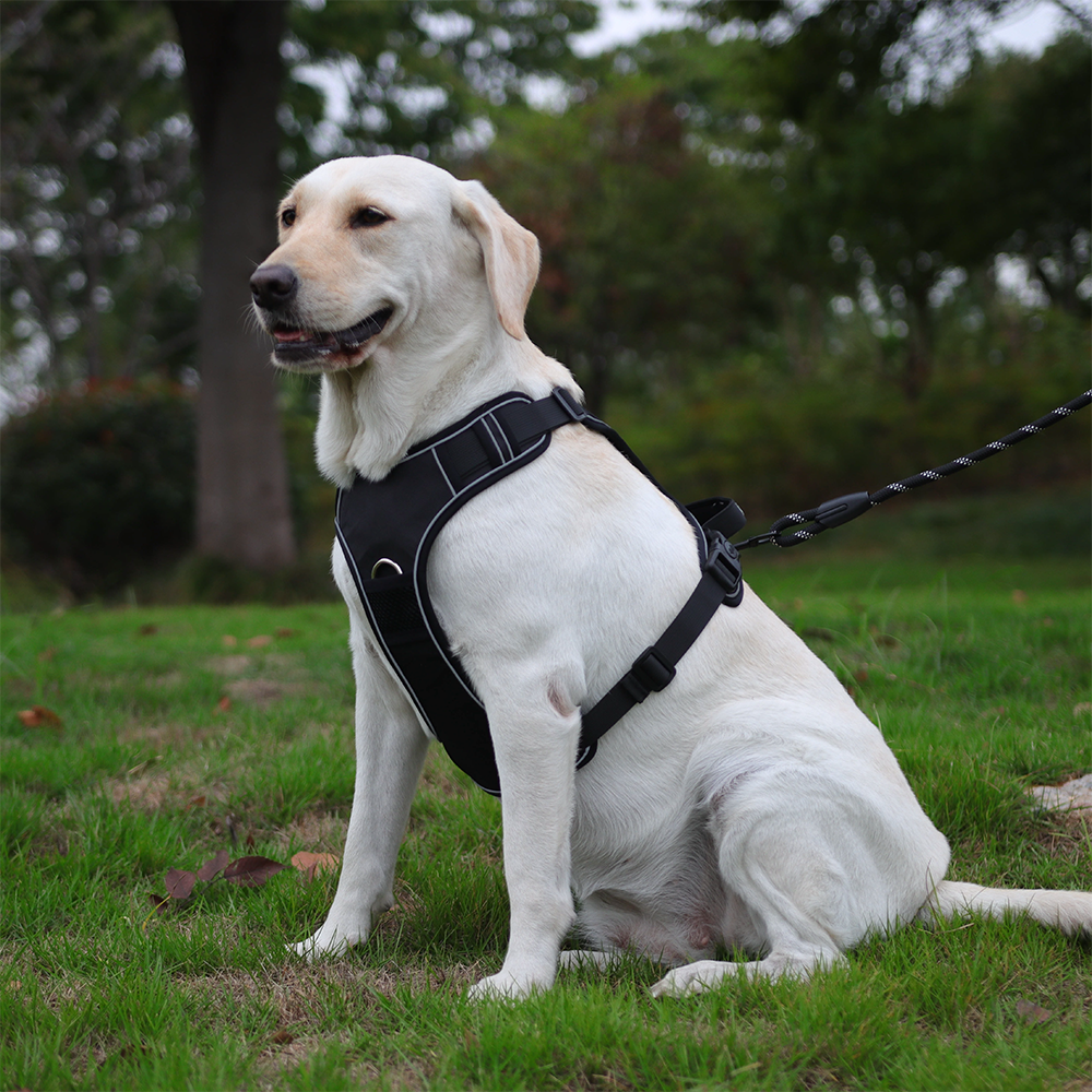 Pet Dog Training Harnesses Wit - Pet Supplies Locations avaliação e preço