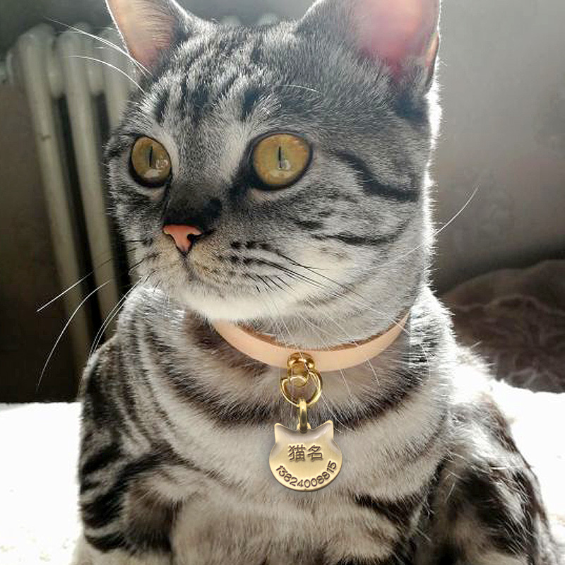 Cat Collar Leather Pet Cat Nec - Pet Supplies List avaliação e preço