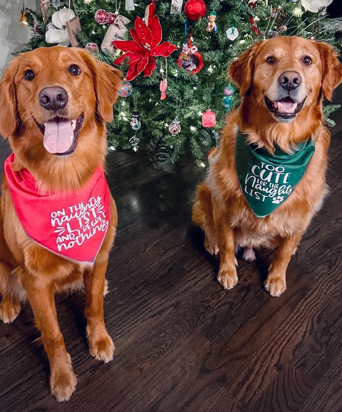 On The Naughty List Funny Band - Pet Supplies List avaliação e preço