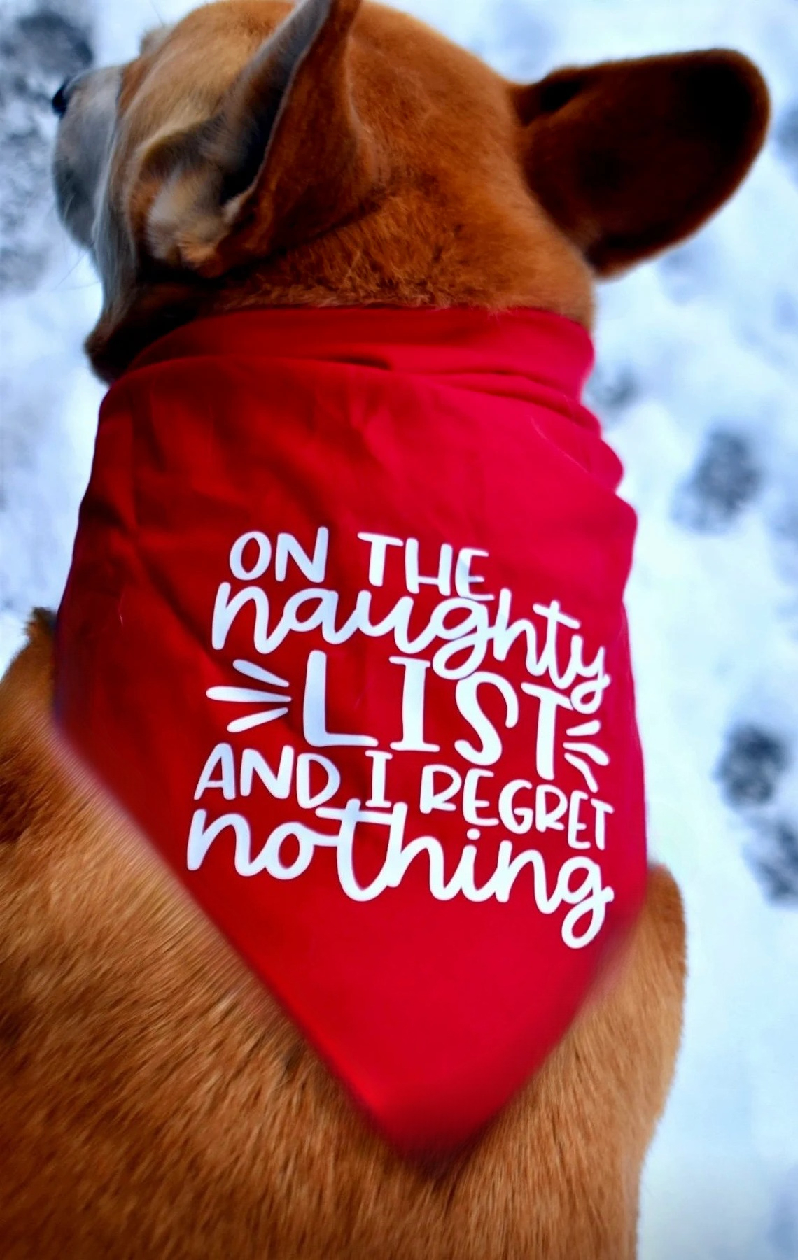 On The Naughty List Funny Band - Pet Supplies List avaliação e preço
