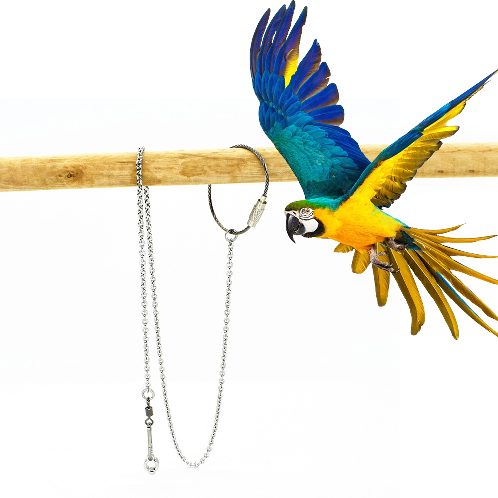 1Pcs Pet Parrot Leg Ring Ankle - Pet Supplies Ringwood avaliação e preço
