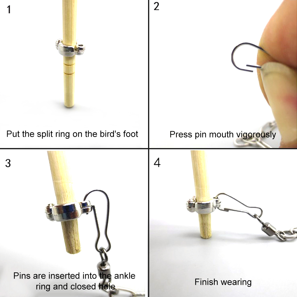 1Pcs Pet Parrot Leg Ring Ankle - Pet Supplies Ringwood avaliação e preço