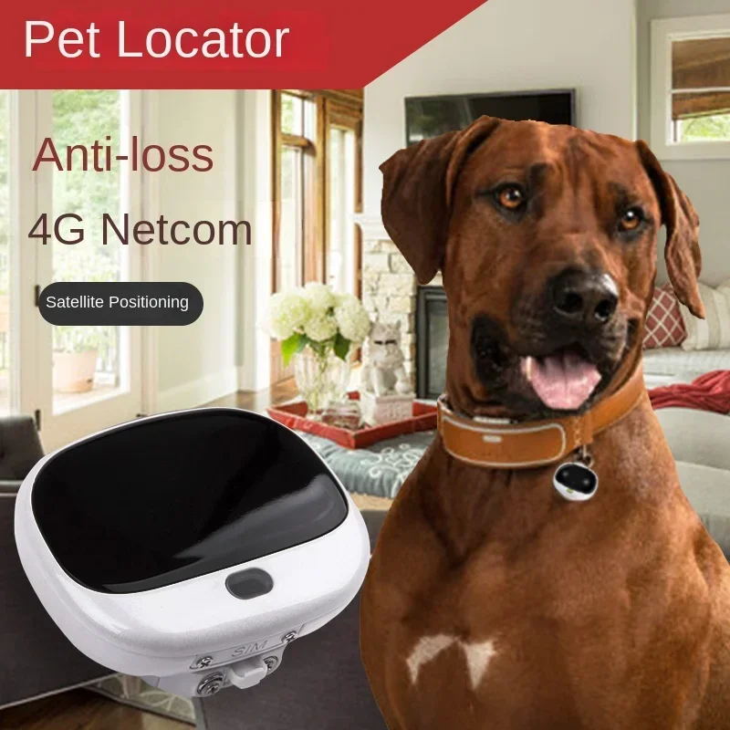 Mini 4G LTE 2G GSM Dog Gps Loc - Pet Supplies Locations avaliação e preço